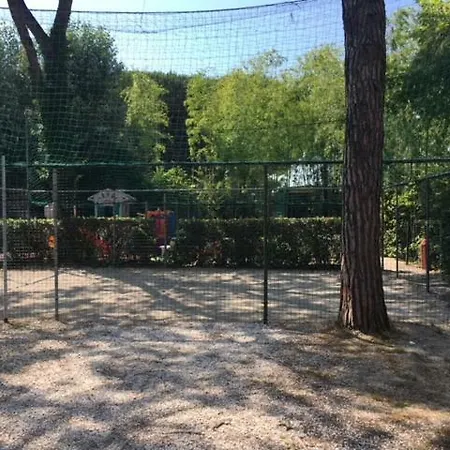 Nuovo *