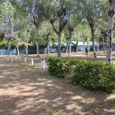Nuovo